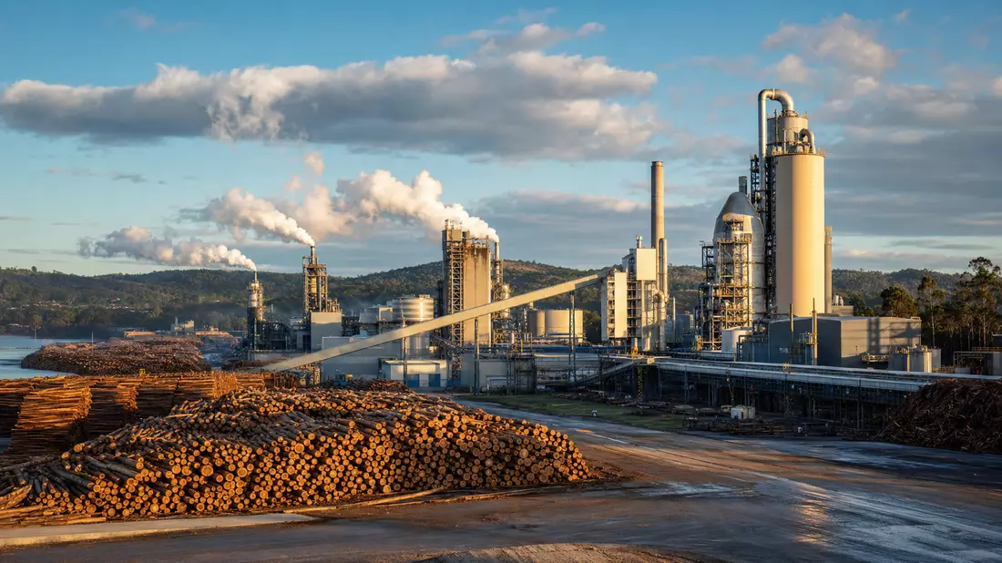 Zellstofffabrik mit Dampfsäulen und Holzstämmen bei goldenem Licht in Portugal