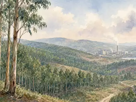Aquarellmalerei der Eukalyptus-Plantage illustriert die Rohstoffbasis von The Navigator Company, ISIN PTNVG0AE0000, Portugal - Foto: THN