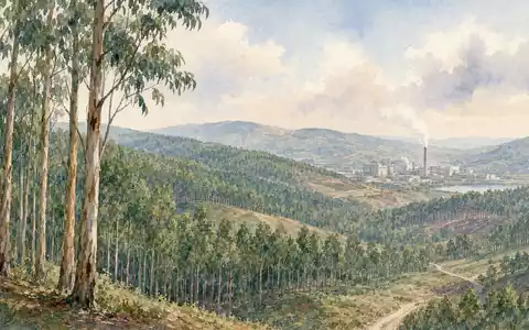 Aquarellmalerei der Eukalyptus-Plantage illustriert die Rohstoffbasis von The Navigator Company, ISIN PTNVG0AE0000, Portugal - Foto: THN