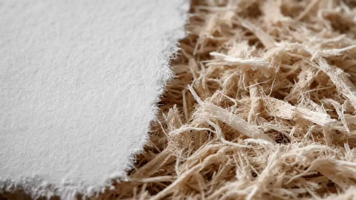 Makroaufnahme von weißem Papier neben rohen Holzzellstofffasern in Nahaufnahme