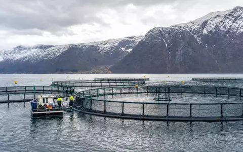 Fotorealistische Lachsfarm im norwegischen Fjord veranschaulicht SalMar ASA, ISIN NO0010310956, führendes Aquakulturunternehmen weltweit - Foto: THN