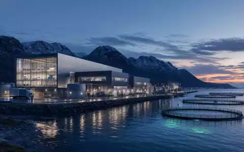 Architektur-Render einer modernen Verarbeitungsanlage an der Küste repräsentiert SalMar ASA, ISIN NO0010310956, führenden Aquakulturbetrieb - Foto: THN