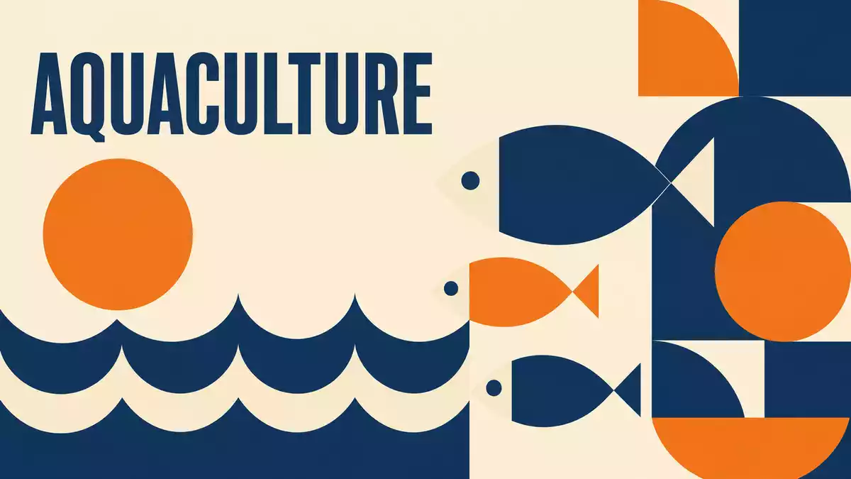 Geometrisches Bauhaus-Poster mit stilisierten Fischformen und dem Wort Aquaculture