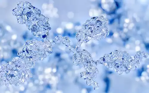 Regeneron Pharma US75886F1075 fokussiert eine detailreiche Makroaufnahme einer transparenten Antikörper-Proteinstruktur mit feinen Lichtreflexen - Foto: THN