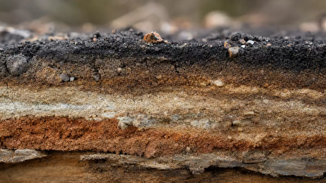 Nahaufnahme eines Bohrkerns mit farbigen Sedimentschichten und Mineralien