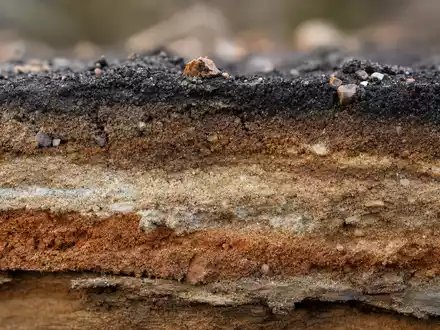 Fugro N.V. (ISIN NL00150004L0) zeigt eine Makroaufnahme eines geologischen Bohrkerns mit deutlich sichtbaren farbigen Sedimentschichten - Foto: THN
