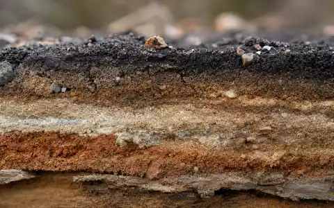 Fugro N.V. (ISIN NL00150004L0) zeigt eine Makroaufnahme eines geologischen Bohrkerns mit deutlich sichtbaren farbigen Sedimentschichten - Foto: THN