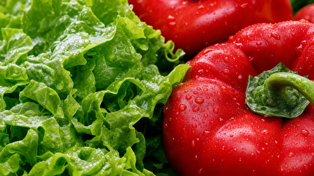 Makroaufnahme von frischem Salat und roter Paprika mit Wassertropfen