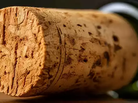 Constellation Brands Weinkorken in extremer Makroaufnahme mit Zellstruktur und grüner US21036P1084 Weinflasche - Foto: THN
