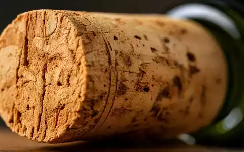 Constellation Brands Weinkorken in extremer Makroaufnahme mit Zellstruktur und grüner US21036P1084 Weinflasche - Foto: THN