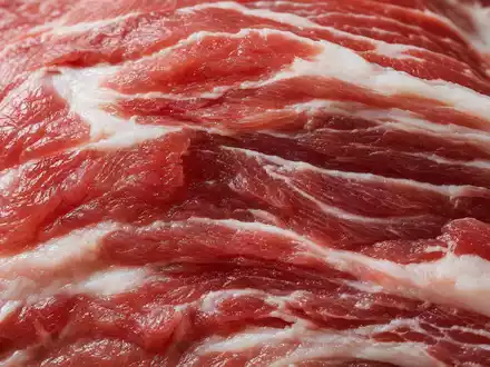 Hormel Foods US4404521001 – extreme Makroaufnahme von rohem Schweinefleisch mit Muskelstruktur und Marmorierung - Foto: THN