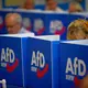 Beim AfD-Wahlparteitag in Marl ist der Machtkampf zwischen zwei innerparteilichen Lagern eskaliert. - Bild: Henning Kaiser/dpa