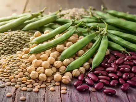 Nahaufnahme von verschiedenen Hülsenfrüchten und pflanzlichen Proteinen auf einer Holzoberfläche, die nachhaltige Ernährung symbolisieren. - Foto: über boerse-global.de