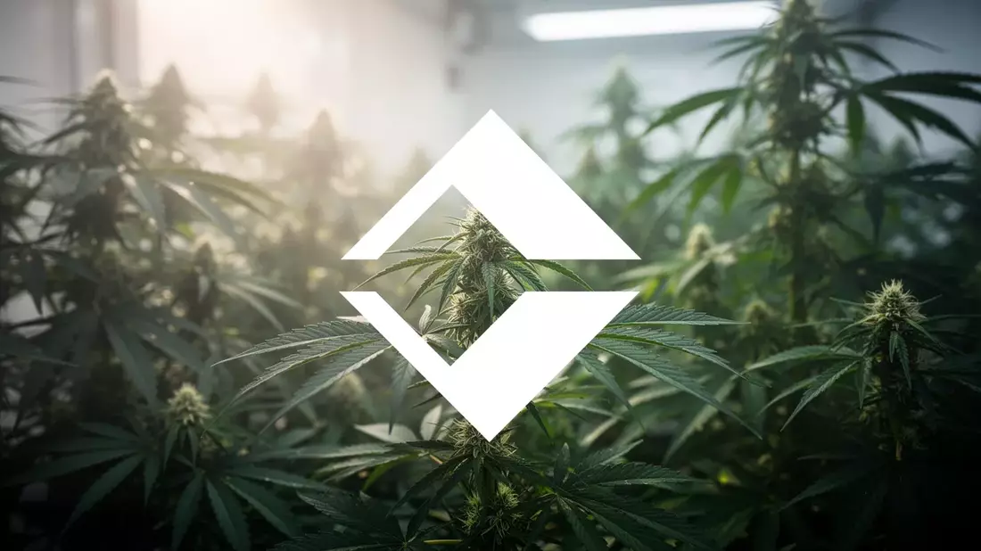 Trulieve Cannabis: Neue Filiale auf Marco Island treibt Aktie