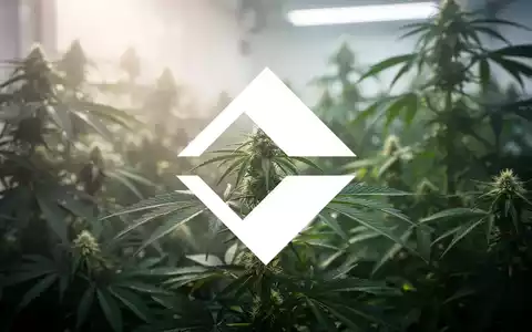 Abstrakte Darstellung der Cannabisindustrie mit weichem Licht, grünen Pflanzen und einem Gefühl von Wachstum und Expansion. - Foto: über boerse-global.de