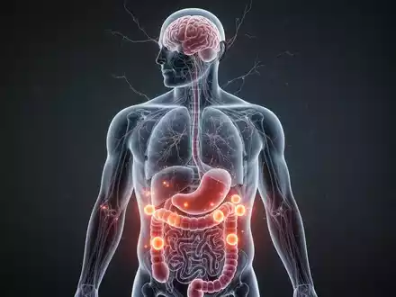 Ein stilisierter menschlicher Torso mit leuchtenden Fettablagerungen um die inneren Organe und angedeuteten Gehirnverbindungen. - Foto: über boerse-global.de