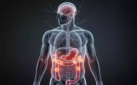 Ein stilisierter menschlicher Torso mit leuchtenden Fettablagerungen um die inneren Organe und angedeuteten Gehirnverbindungen. - Foto: über boerse-global.de