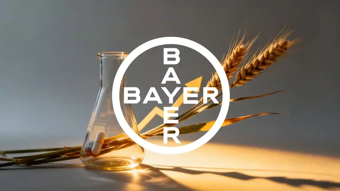 Bayer Stock Rally Faces Legal Delay and Distant Wheat Venture