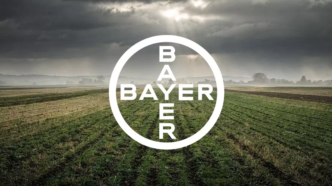 Bayer Stock Rally Faces Key August Tests Amid Legal Victory and Debt Concerns