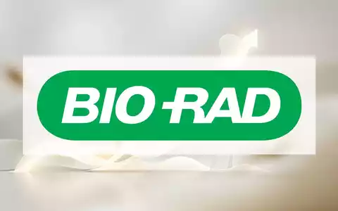Abstrakte Darstellung von Wachstum und Wohlstand im Gesundheits- und Wellnesssektor mit aufsteigenden Linien und warmem Licht. - Foto: über boerse-global.de
