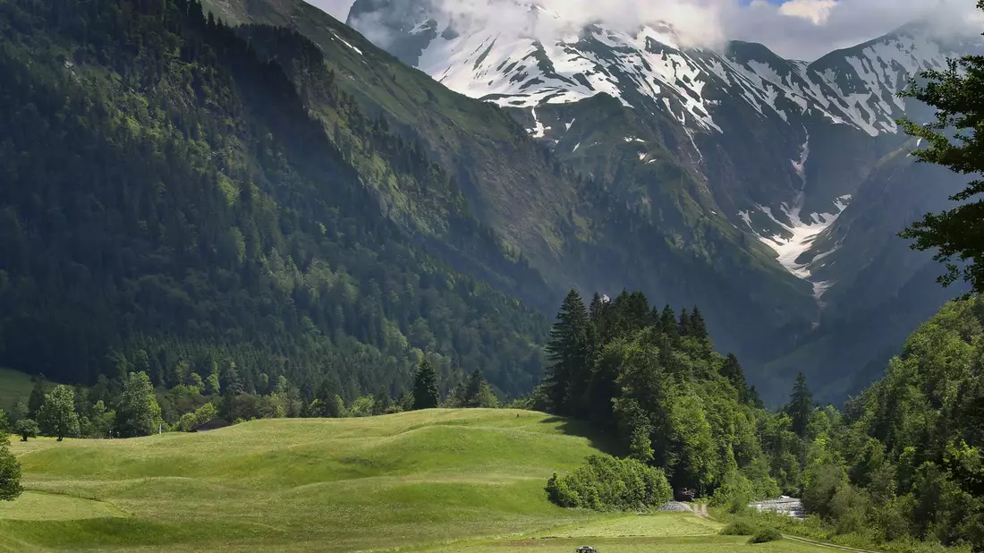 Ein deutscher Kletterer hat das Gleichgewicht verloren und ist rund 100 Meter über eine senkrechte Felswand in die Tiefe gestürzt. (Symbolbild) - Bild: Karl-Josef Hildenbrand/dpa