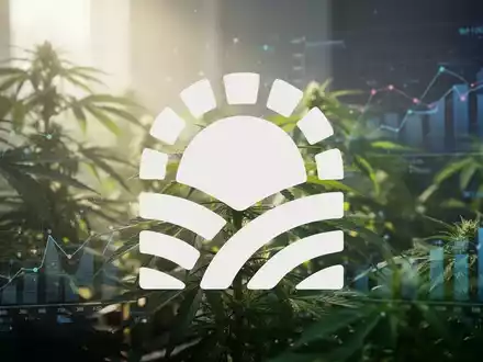 Eine abstrakte, atmosphärische Szene, die Wachstum und Finanzberichterstattung in der Cannabisindustrie darstellt, mit grünem Laub und Datenelementen. - Foto: über boerse-global.de