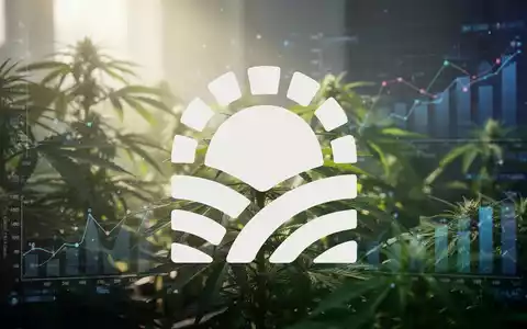 Eine abstrakte, atmosphärische Szene, die Wachstum und Finanzberichterstattung in der Cannabisindustrie darstellt, mit grünem Laub und Datenelementen. - Foto: über boerse-global.de