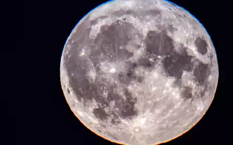 Der Mond scheint hell, weil er von der Sonne angestrahlt wird. Daran orientieren sich etwa Tiere bei Nacht auf der Erde. - Foto: Jens Büttner/dpa