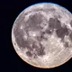 Der Mond scheint hell, weil er von der Sonne angestrahlt wird. Daran orientieren sich etwa Tiere bei Nacht auf der Erde. - Bild: Jens Büttner/dpa