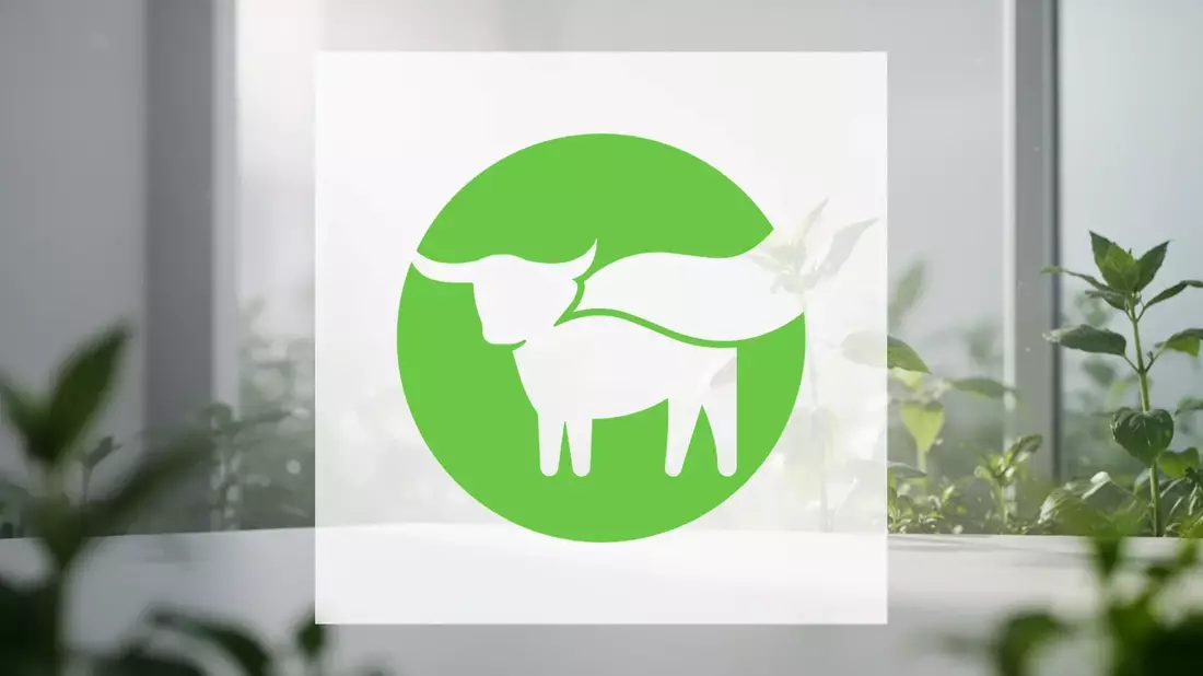 Beyond Meat: Radikaler Schulden-Umbau zur Rettung