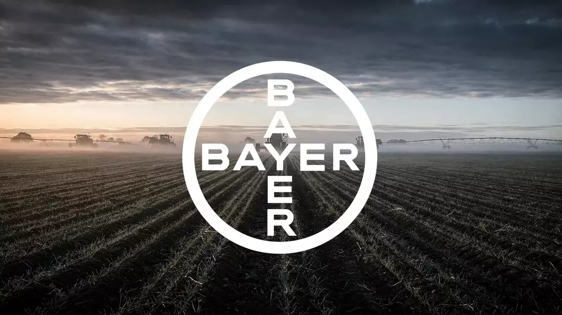 Bayer Stock Rally Tests Fundamentals as Supreme Court Weighs Glyphosate Appeal