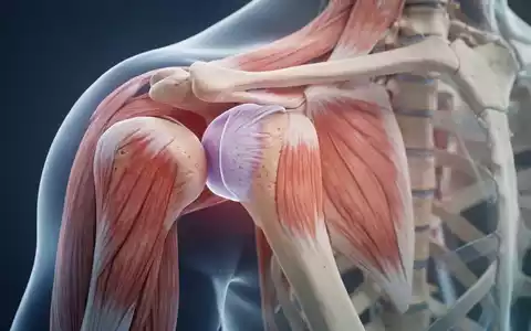 Eine Nahaufnahme des menschlichen Schulter- und Hüftgelenks mit Fokus auf Bereiche, die von Impingement betroffen sein könnten. - Foto: über boerse-global.de