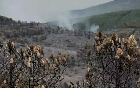 Das Feuer in der Region von Guadalajara nordöstlich von Madrid hat bereits 13.000 Hektar Wald- und Buschland vernichtet. - Foto: Mateo Lanzuela/EUROPA PRESS/dpa