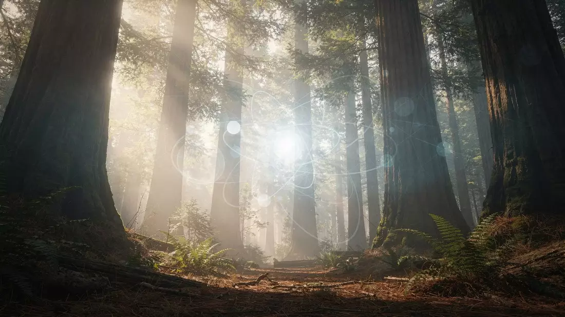 Redwood AI: Kapitalerhöhung lässt Aktienkurs massiv einbrechen