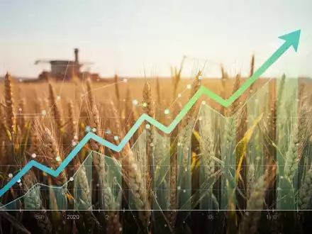 Eine stilisierte Finanzgrafik mit einem Aufwärtstrend, überlagert von einem Weizenfeld, das Wachstum und Lebensmittelproduktion symbolisiert. - Foto: über boerse-global.de