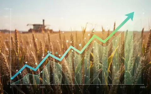 Eine stilisierte Finanzgrafik mit einem Aufwärtstrend, überlagert von einem Weizenfeld, das Wachstum und Lebensmittelproduktion symbolisiert. - Foto: über boerse-global.de