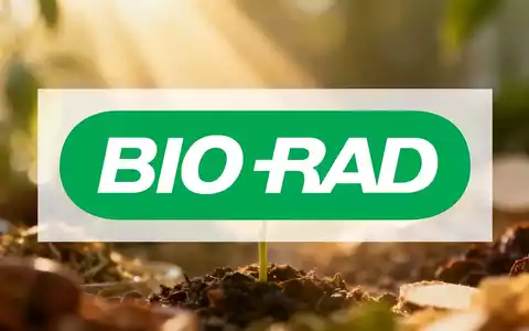 Eine abstrakte, atmosphärische Szene, die den Gesundheits- und Wellnesssektor darstellt, mit Fokus auf Wachstum und Optimismus. - Foto: über boerse-global.de
