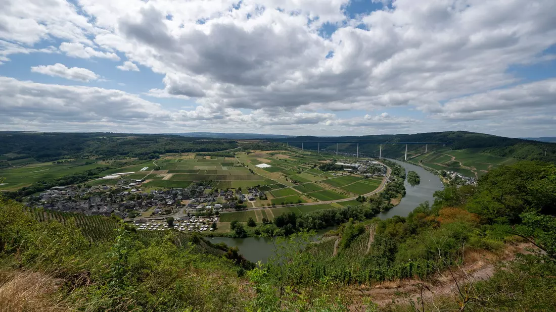Blick auf die Mosel bei Ürzig. Die große Hitze bleibt in den kommenden Tagen aus.  - Bild: Harald Tittel/dpa