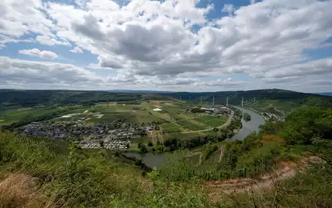 Blick auf die Mosel bei Ürzig. Die große Hitze bleibt in den kommenden Tagen aus.  - Foto: Harald Tittel/dpa