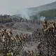 Das Feuer in der Region von Guadalajara nordöstlich von Madrid hat bereits 26.000 Hektar Wald- und Buschland vernichtet. - Bild: Mateo Lanzuela/EUROPA PRESS/dpa