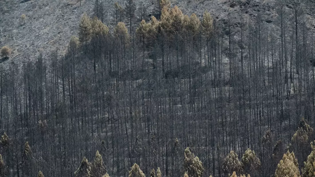 Feuerwehrleute kämpfen nahe Madrid gegen einen großen Waldbrand. - Bild: Mateo Lanzuela/EUROPA PRESS/dpa