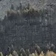 Feuerwehrleute kämpfen nahe Madrid gegen einen großen Waldbrand. - Bild: Mateo Lanzuela/EUROPA PRESS/dpa