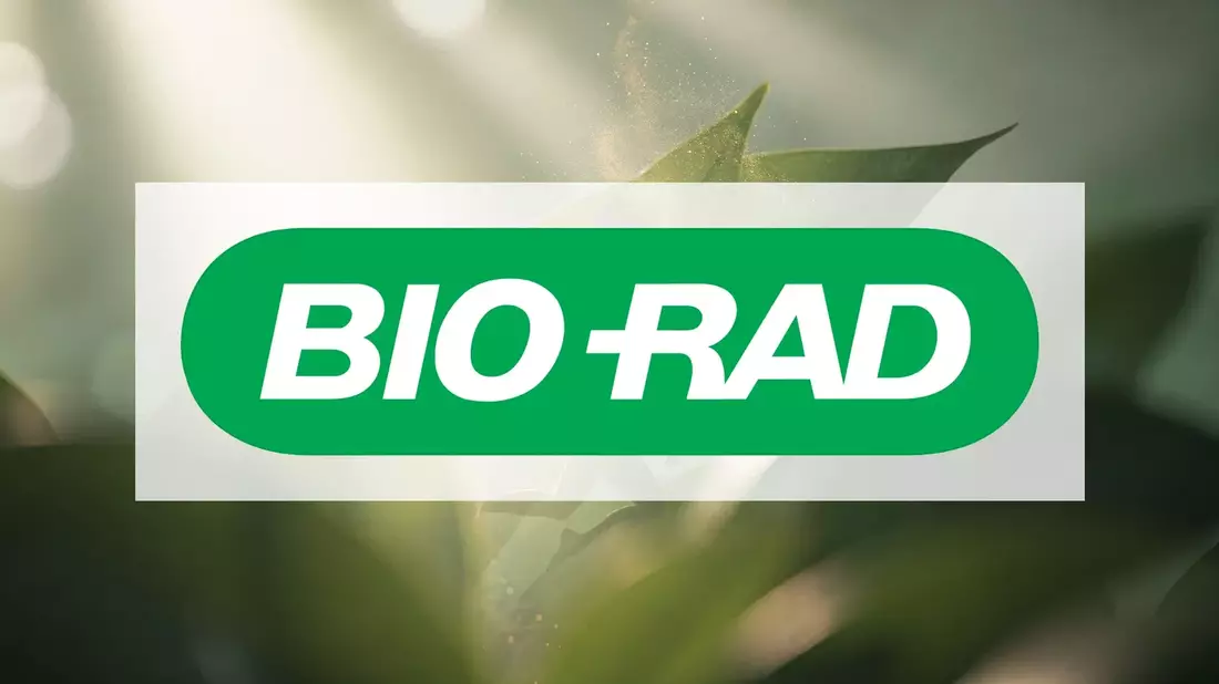 Biogena Group Aktie: Neues 52-Wochen-Hoch vor Börsengang der Holding