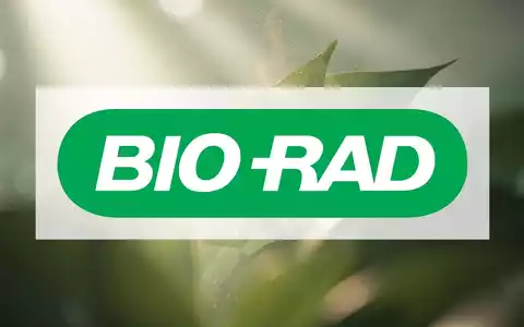 Eine abstrakte, atmosphärische Szene, die den Gesundheits- und Wellnesssektor darstellt, mit optimistischem Licht und einem Gefühl des Wachstums. - Foto: über boerse-global.de
