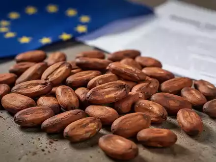 Nahaufnahme von Kakaobohnen mit unscharfem Hintergrund, der auf EU-Regularien hindeutet. - Foto: über boerse-global.de
