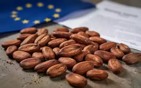 Nahaufnahme von Kakaobohnen mit unscharfem Hintergrund, der auf EU-Regularien hindeutet. - Foto: über boerse-global.de