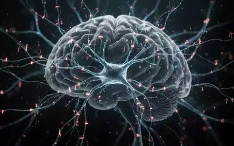 Abstrakte Darstellung neuronaler Bahnen und Gehirnaktivität mit leuchtenden Linien und synaptischen Verbindungen auf dunklem Hintergrund. - Foto: über boerse-global.de