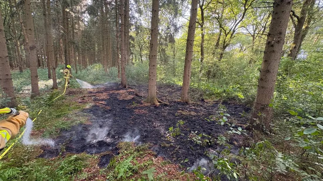 FW-OLL: Kleiner Waldbrand am Montagabend schnell unter Kontrolle - Bild: presseportal.de