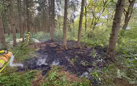 FW-OLL: Kleiner Waldbrand am Montagabend schnell unter Kontrolle - Foto: presseportal.de