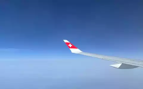 Die Swiss-Piloten sind vom Dienst suspendiert (Symbolbild) - Foto: Christiane Oelrich/dpa